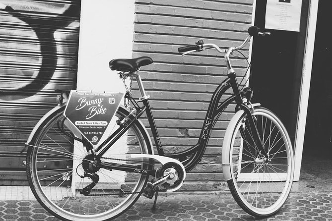 1 Day Bike Rental in Seville city - Using the Map, Helmet, and Padlock Like a Pro