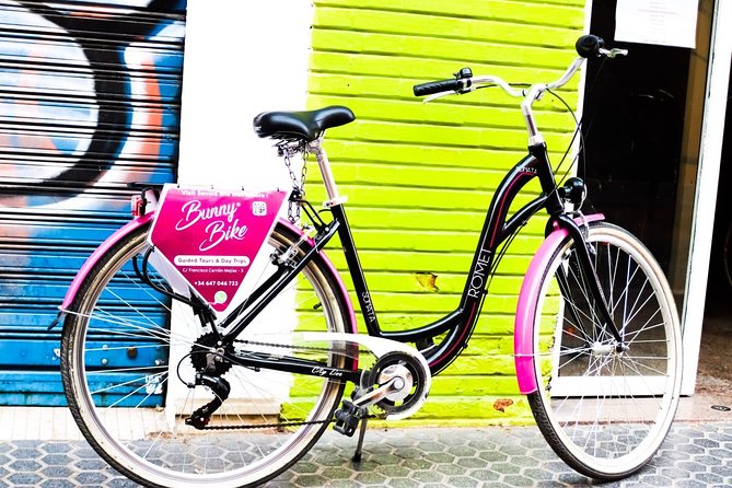 1 Day Bike Rental in Seville city - Value Check: Is $18 for a Day a Good Deal?