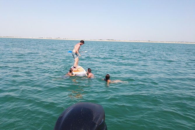 3-hour boat ride through the Bay of Cadiz - Why This Bay of Cadiz Boat Ride Is Such an Easy Win