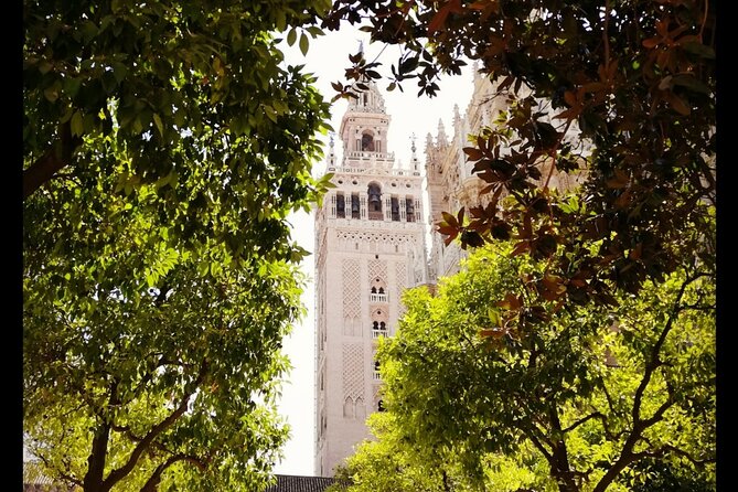 Alcazar and Cathedral of Seville Private Tour - Moorish-meets-Gothic Seville: why this site pair hits so hard