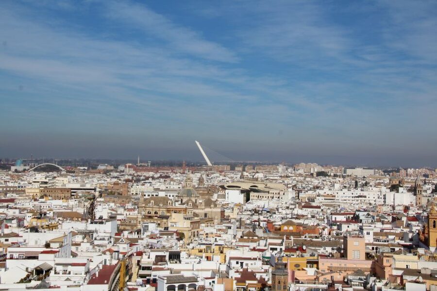 Alcázar Guided Tour & Rooftop Tour - Entering the Reales Alcázares: A Palace That Feels Like a Storybook