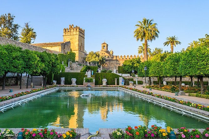 Alcazar of Cordoba Small Group Tour with Skip the Line Ticket - Getting There at Pl. del Triunfo (and Where You End Up)