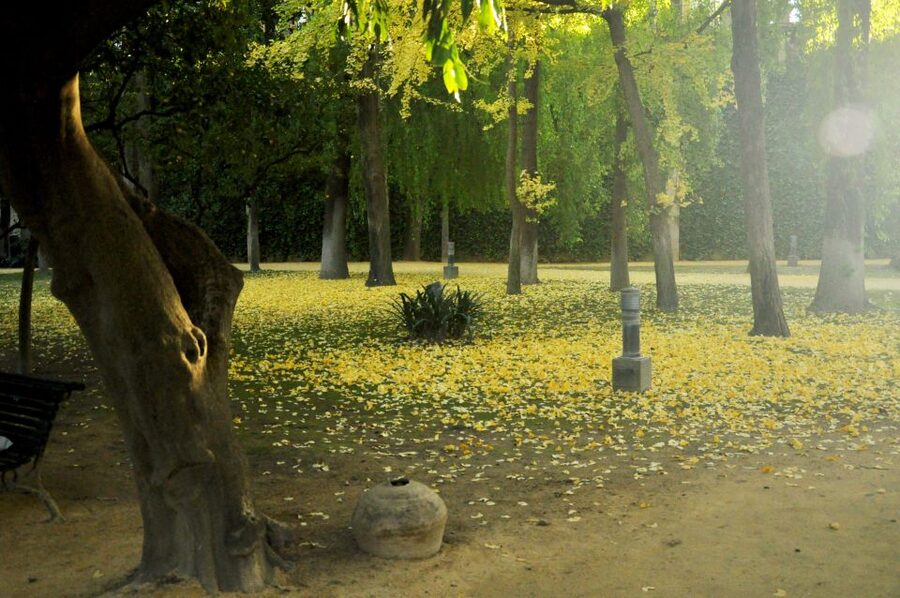 Alcázar of Seville Skip-the-Line Tickets and Guided Tour - The palace rooms and courtyards, and why the route matters