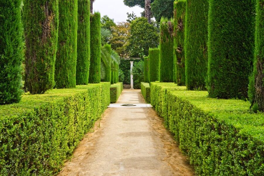 Alcazar of Seville VIP Tour - The guide + audioguide combo: how you actually understand the Alcázar