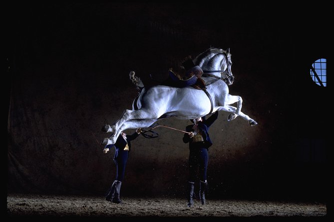 Andalusian Horses Dance Show - Key highlights you should clock before you go