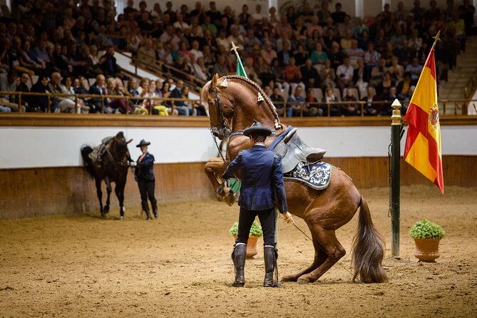 Andalusian Horses Dance Show - The show format: 6 to 8 choreographies in about 90 minutes