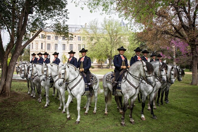Andalusian Horses Dance Show - Who should book this, and who might not love it