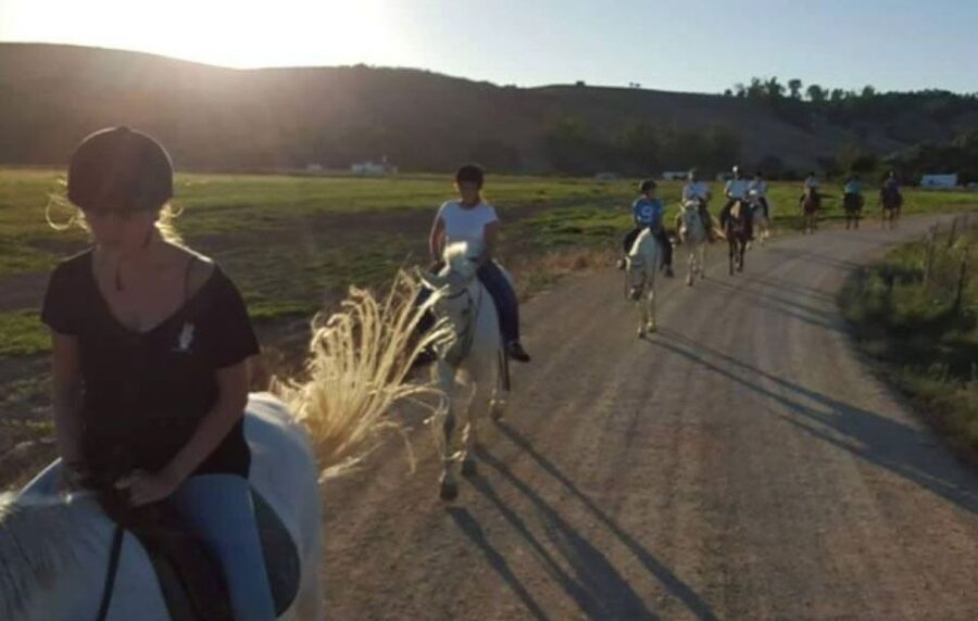 Arcos de la Frontera: Horseback Riding Experience - Who should book, and who should skip this ride