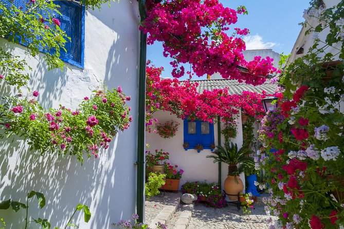 Authentic Patios of Cordoba Guided Tour - Key things you’ll notice on this patio tour