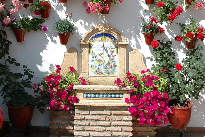 Authentic Patios of Cordoba Guided Tour - Logistics that actually matter: meeting point, language, group size