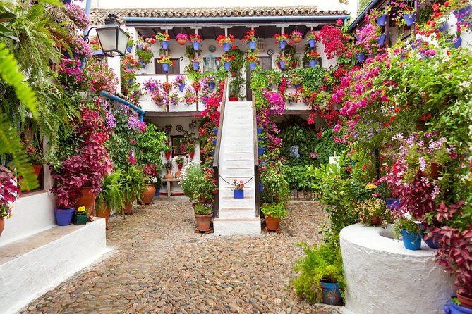 Authentic Patios of Cordoba Guided Tour - Who this patio tour is best for (and who should skip it)