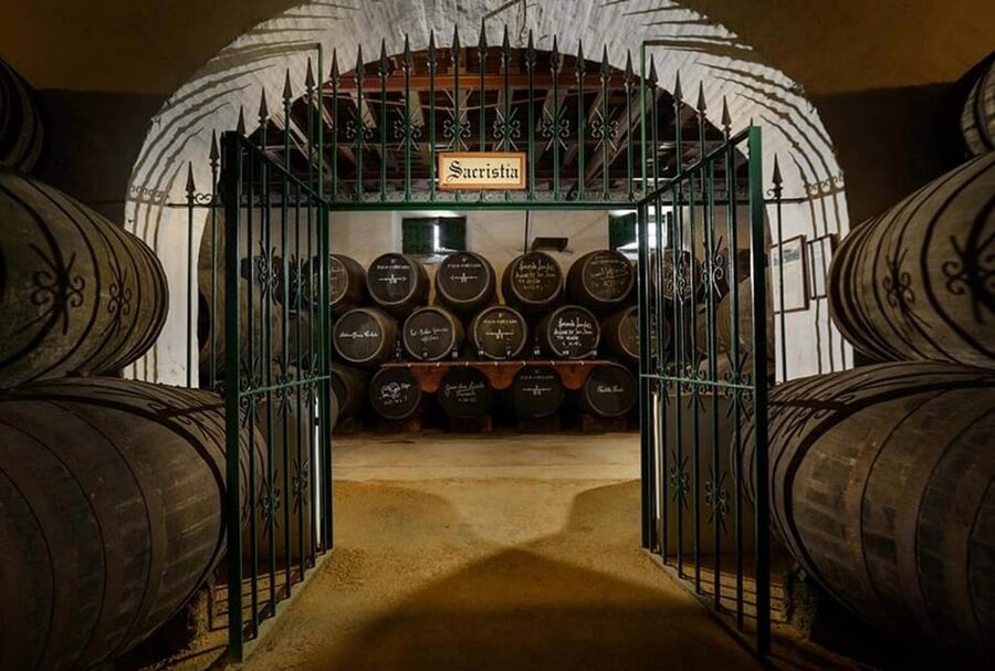 Barbadillo Winery Guided Tour in Cadiz with Wine Tasting - Manzanilla in Sanlúcar: Why This Barbadillo Tour Hits the Spot