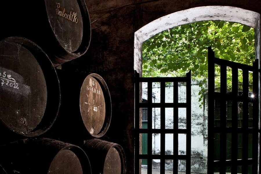 Barbadillo Winery Guided Tour in Cadiz with Wine Tasting - First Stop at Bodegas Barbadillo: The Family Behind the Bottle