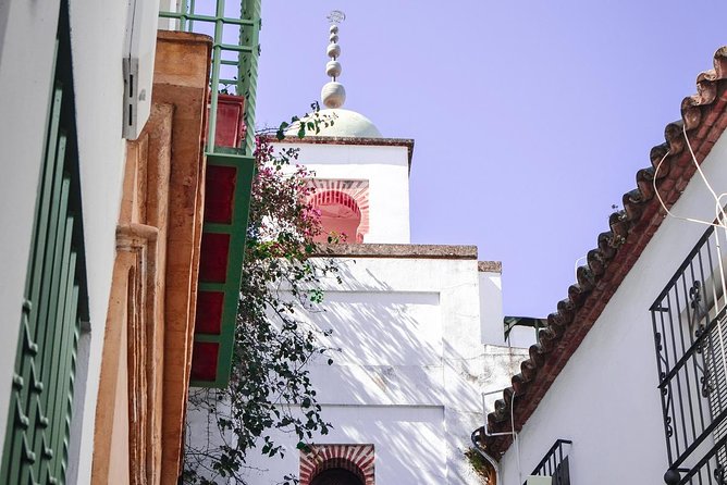 Best of Cordoba Guided Tour - Caliphal Baths at the Alcázar: Umayyad Life in a Courtyard Setting