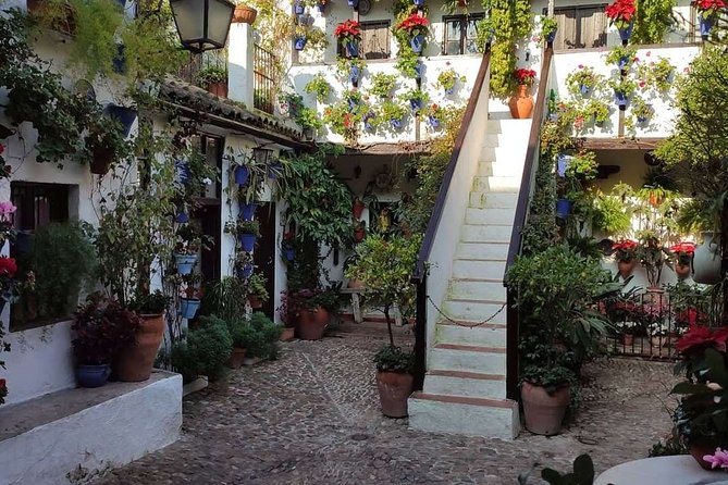Bike Tour Córdoba - Meeting point, timing, and how to plan your ride