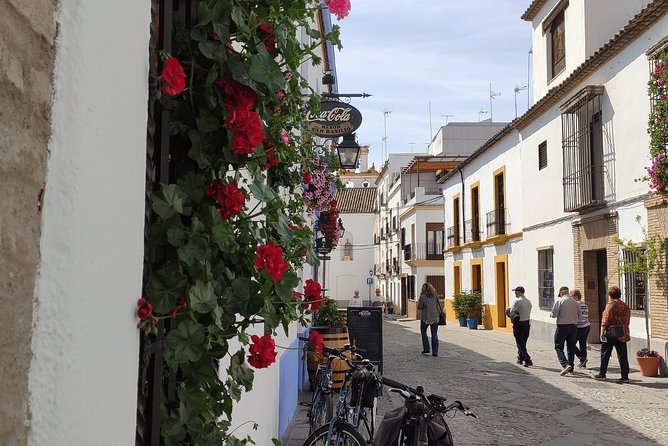 Bike Tour Córdoba - Pacing and group size: the practical side that makes it enjoyable