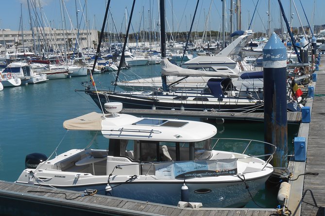 Boat and fishing trips in the Cadiz bay - Value and pricing: $396.08 per group, up to 7 people