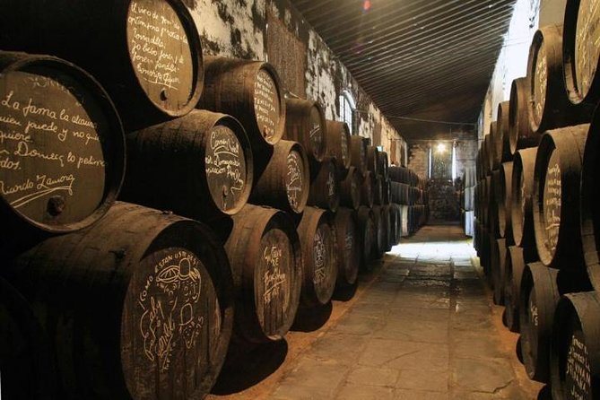 Cadiz and Jerez Day Trip from Seville - What You See in Cádiz, Stop by Stop