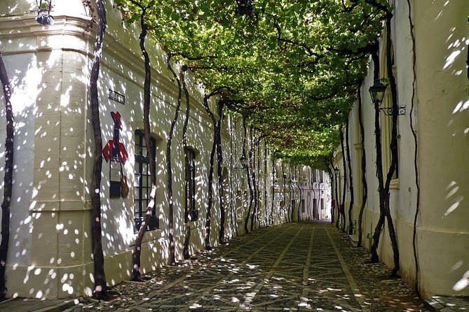 Cadiz and Jerez Day Trip from Seville - Meals, Water, and Staying Comfortable on a Long Day