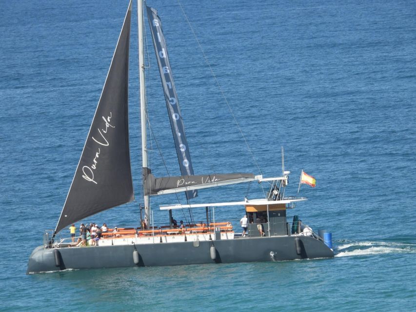 Cádiz: Bay of Cádiz Catamaran Tour with Host - Why this 75-minute Bay of Cádiz catamaran fits Cádiz so well