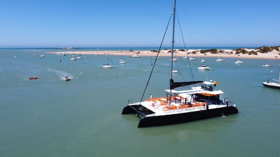 Cádiz: Bay of Cádiz Catamaran Tour with Host - Getting to Ml Fernandez Ladreda, 1 without a headache