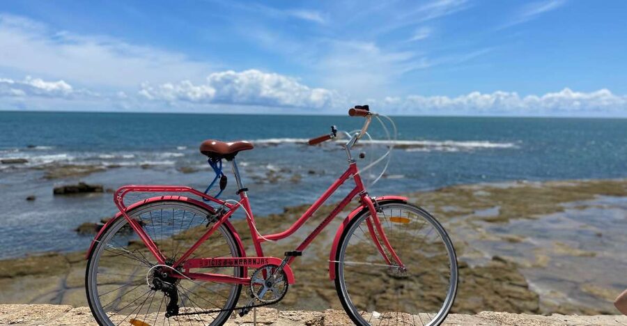 Cadiz: City Bike Tour - Bikes, Pace, and Comfort: What It Feels Like to Ride