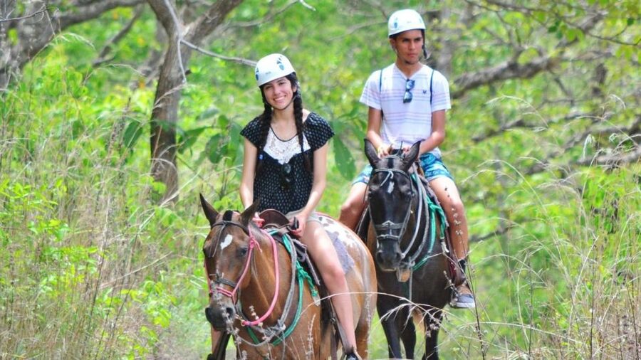 Cádiz Country side: Ride an Andalusian Horse - Cadiz Finca Horseback, Why It Feels More Real Than a Demo