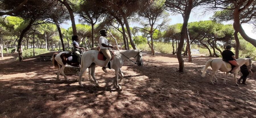 Cádiz Country side: Ride an Andalusian Horse - Should You Book This Andalusian Horse Ride in Cadiz?