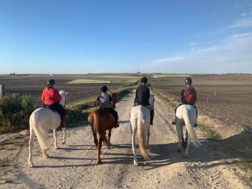 Cádiz Country side: Ride an Andalusian Horse - Before You Mount: Helmet, Saddling Basics, and Reins for Real Humans