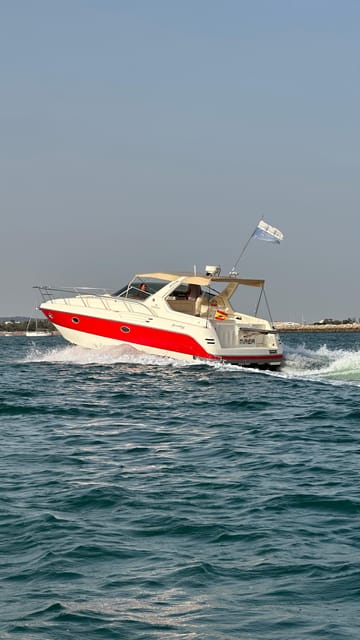 Cadiz: Exclusive Yacht excursion to La Caleta or Pepa Bridge - Price, Groups, and Real Value for a 4-Hour Half Day