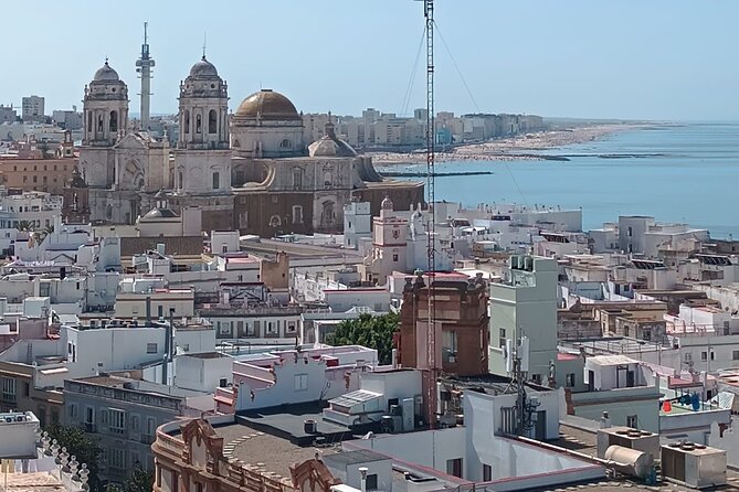 Cadiz Food Tour: Tapas, Drinks and Delights with a Local - Plaza de San Antonio: Constitution Stories and Papas Aliñás