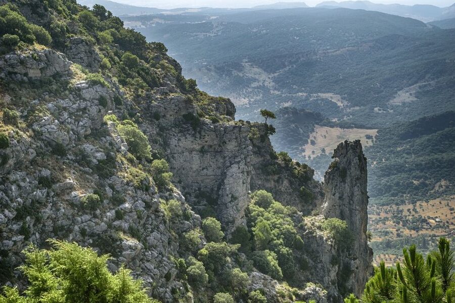Cadiz, Jerez or El Puerto: White Towns of Andalusia Day Trip - Price and Value, Plus the Real Talk About Pace and Language