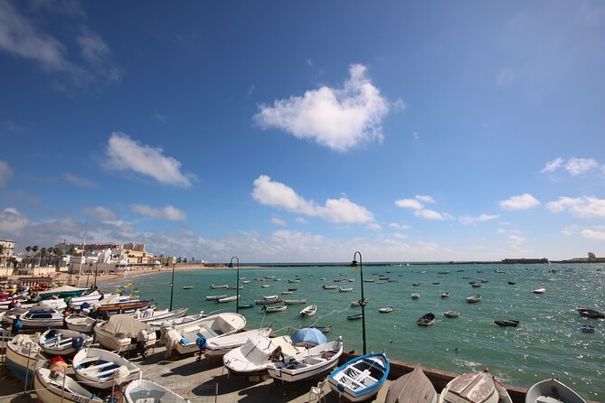 Cadiz Private Walking Tour with a Local - Beaches and gardens: when you want Cádiz to slow down