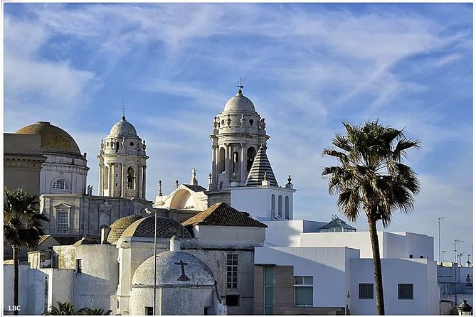 Cadiz Shore Excursion: Scenic & walking tour with cheese and sherry tasting - After the coach: Old Town walking that actually helps
