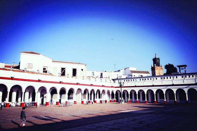 Carmona and Necropolis: Guided Day Tour from Seville - Price and Logistics: What $58.87 Really Buys You