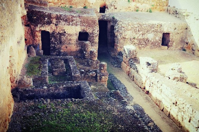 Carmona and Necropolis: Guided Day Tour from Seville - Should You Book Naturanda Turismo Ambiental’s Carmona and Necropolis Tour?