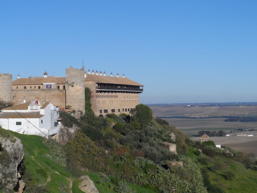 Carmona and Necropolis Tour from Seville - Pickup From Seville: Five Starting Addresses and a Smooth Departure