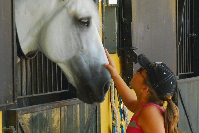 Carthusian Stud private – Yeguada de la Cartuja - Key things I’d focus on before you go