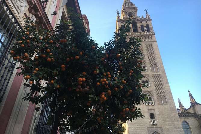 Cathedral and Real Alcàzar in Italian - Where You Meet at Plaza del Triunfo (and Why That’s Convenient)