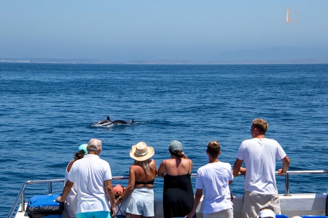 Cetacean Watching Tour - Key things I’d put on your radar