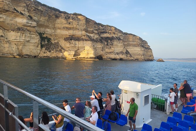 Cetacean Watching Tour - Weather can make or break the day