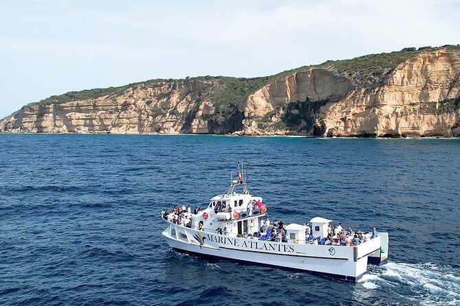 Cetacean Watching Tour - How the 3-hour plan actually plays out