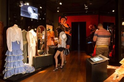 Combined ticket: Puro Flamenco Show + Flamenco Museum visit