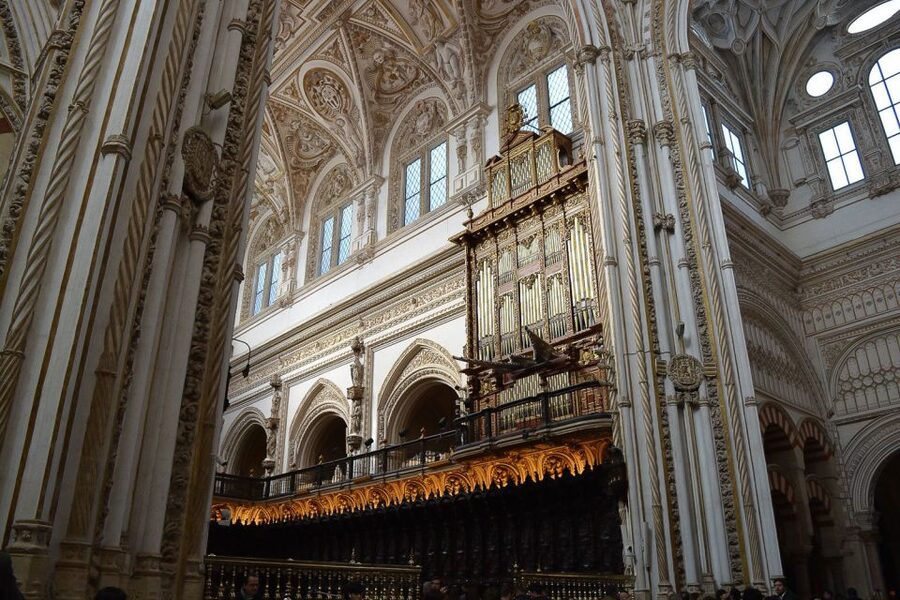 Cordoba: 3-Hour Private Tour - Key highlights that make this tour feel “worth it”