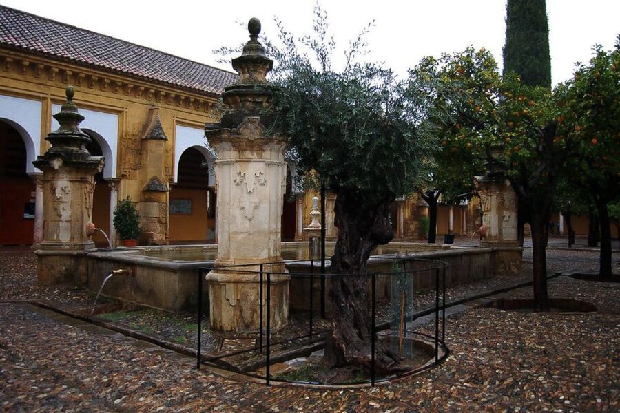 Cordoba: 3-Hour Private Tour - The Judería quarter: slow down in the whitewashed lanes