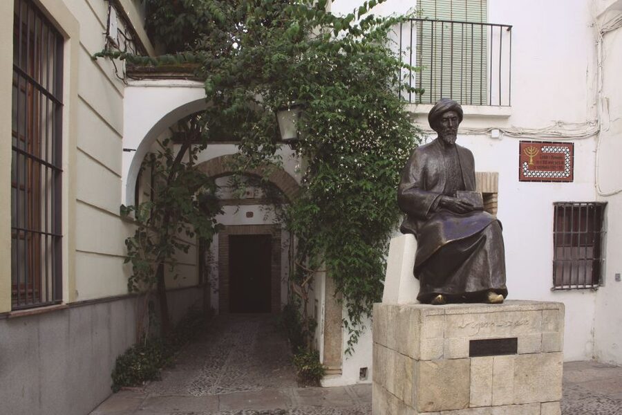 Córdoba: Alcázar and Jewish Quarter 2-Hour Guided Tour - Who Should Book This Tour (and Who Might Want Something Different)