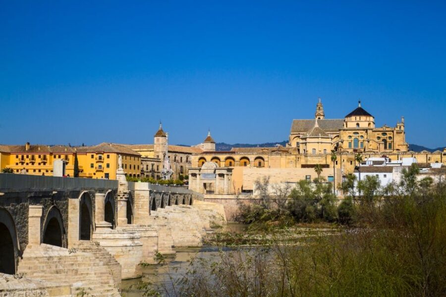 Córdoba: Alcázar and Jewish Quarter 2-Hour Guided Tour - Alcázar Gardens: Ponds, Plants, and the Walk of the Kings Photo Stop