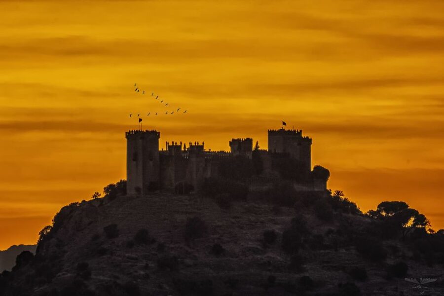 Córdoba: Almódovar Castle Entrance Ticket - Price and value: what about $11 gets you