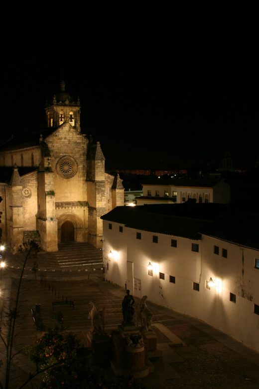 Cordoba at Night by Bike, Electric Bike - Choosing Your Ride: Bike, e-Bike, or Segway