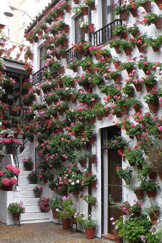Cordoba Courtyards by Bike, Electric Bike - Key reasons this patio tour works so well